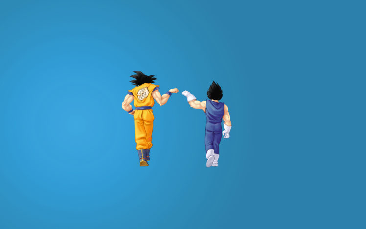 vegeta, Goku, Dragon, Ball HD Wallpaper Desktop Background