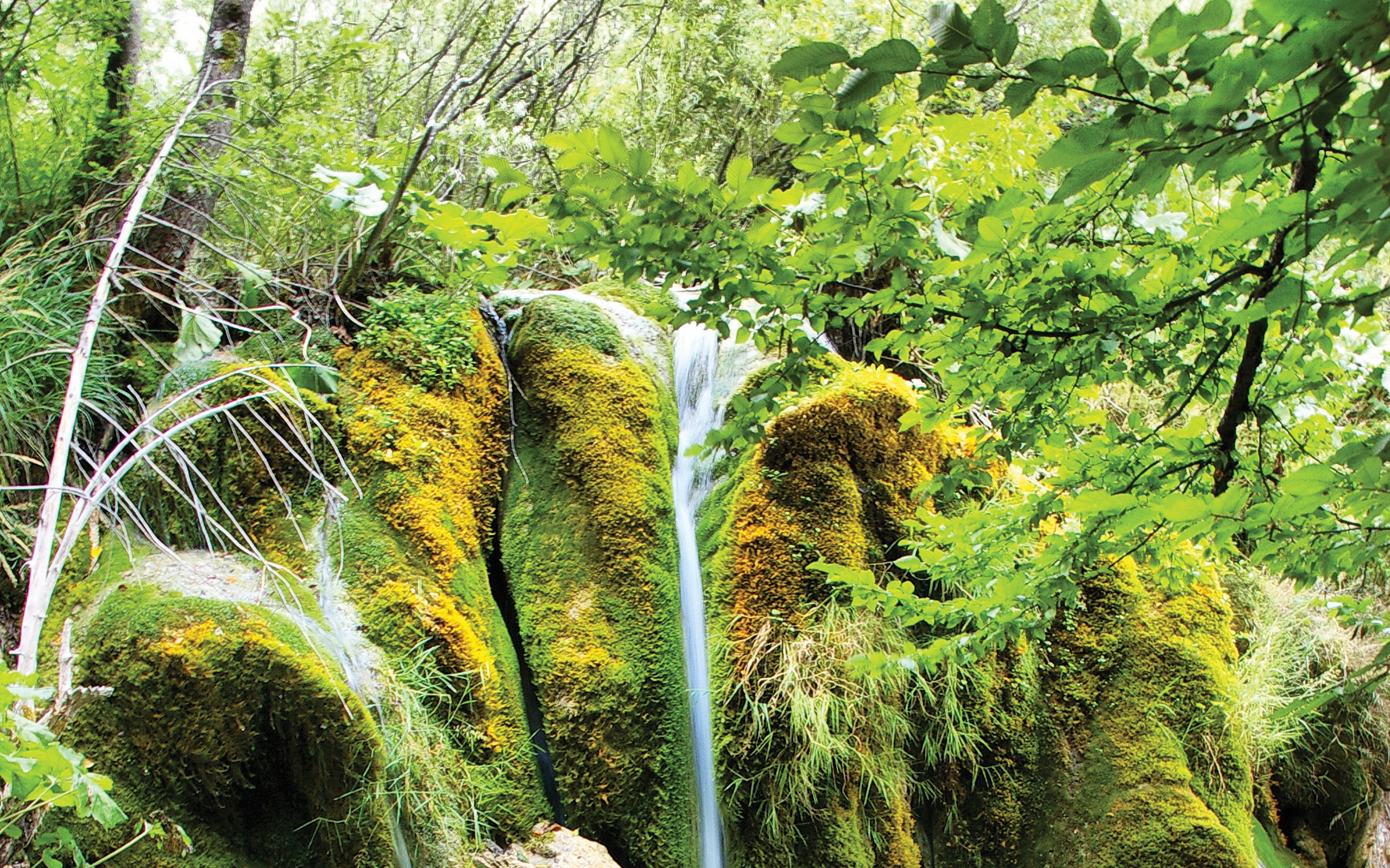 nature, Crysis, Towns, Skyscapes, Sea Wallpaper