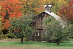 autumn, Michigan, Barn