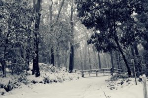 landscapes, Winter,  season , Snow