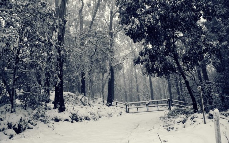 landscapes, Winter,  season , Snow HD Wallpaper Desktop Background