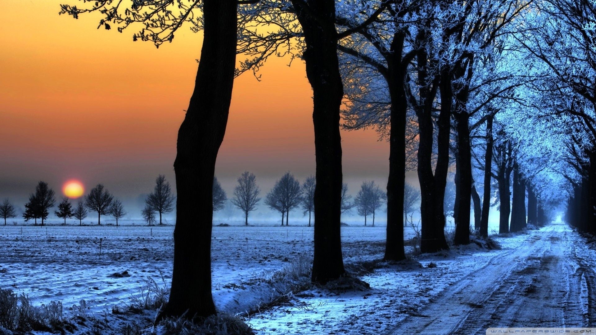 sunset, Nature, Winter, Snow Wallpaper