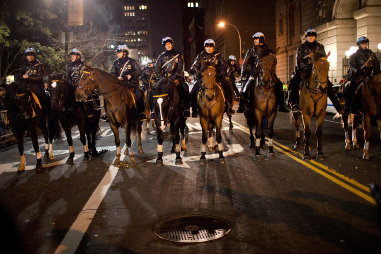 protest, Anarchy, Police, Horse HD Wallpaper Desktop Background