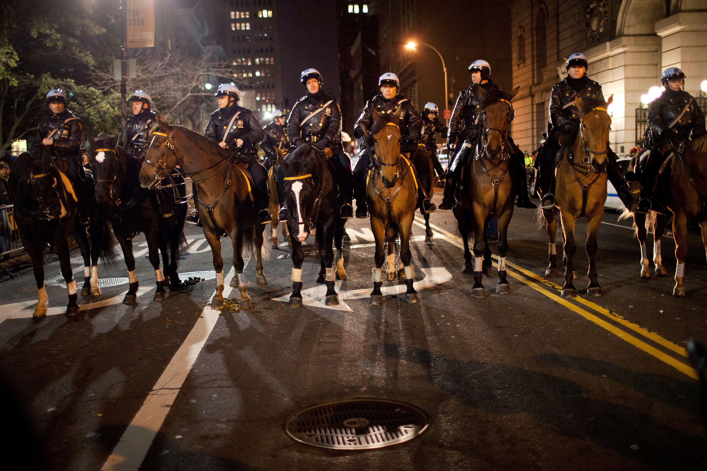 protest, Anarchy, Police, Horse Wallpaper