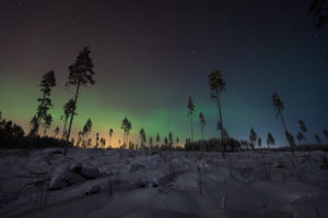 winter, Snow, Northern, Lights, Aurora, Borealis