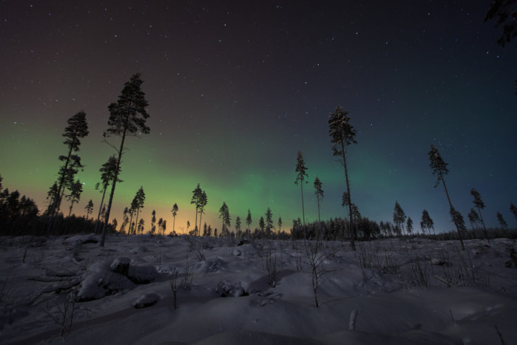 winter, Snow, Northern, Lights, Aurora, Borealis HD Wallpaper Desktop Background