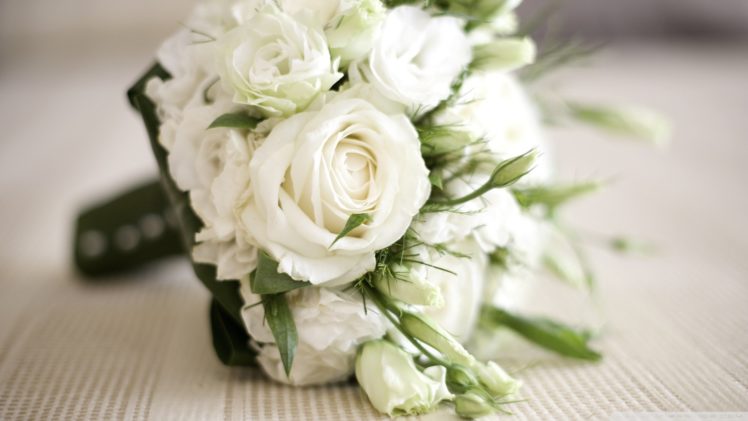 nature, Bouquet, White, Roses HD Wallpaper Desktop Background