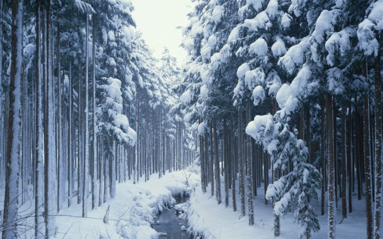 nature, Winter, Snow, Trees, Creek HD Wallpaper Desktop Background