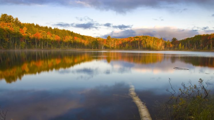 forests, National, Michigan HD Wallpaper Desktop Background