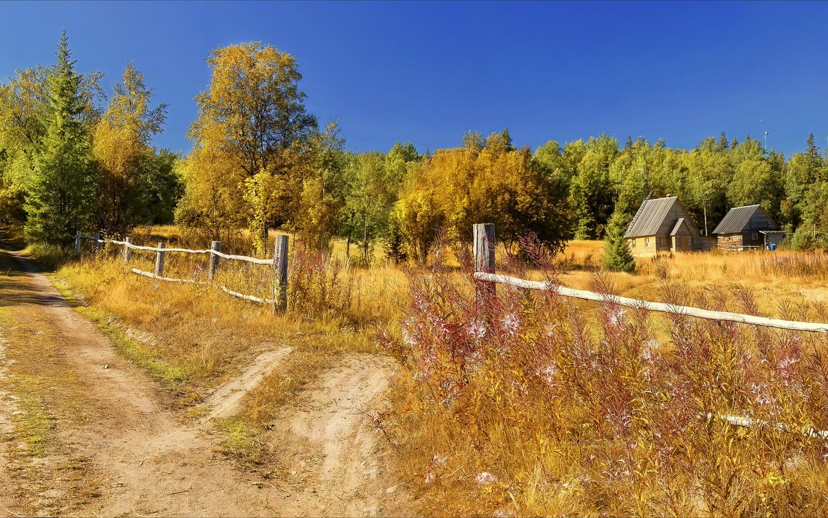 nature Wallpaper
