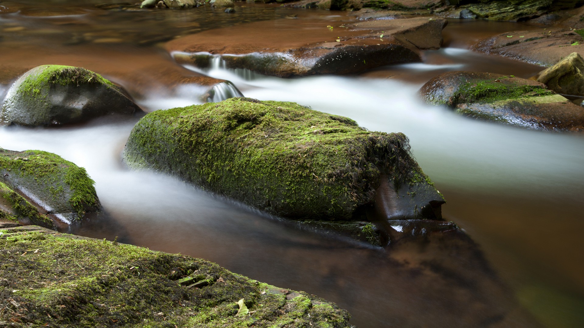 sunset, Mountains, Ocean, Landscapes, Nature, Flowers, Fields, Sunlight Wallpaper