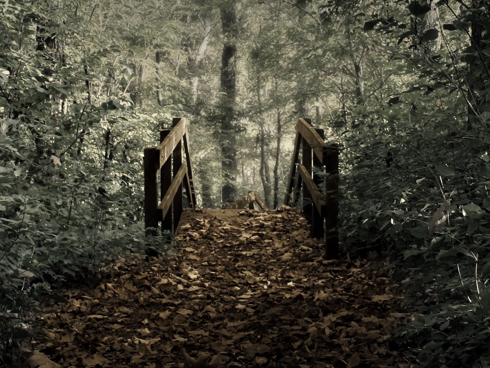 landscapes, Nature, Forests, Bridges, Photo, Manipulation Wallpaper