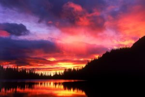sunrise, National, Park, Washington, Mount, Rainier