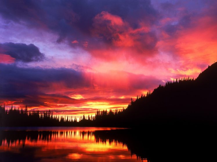 sunrise, National, Park, Washington, Mount, Rainier HD Wallpaper Desktop Background