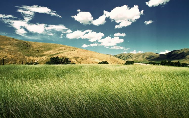 landscapes, Grass HD Wallpaper Desktop Background