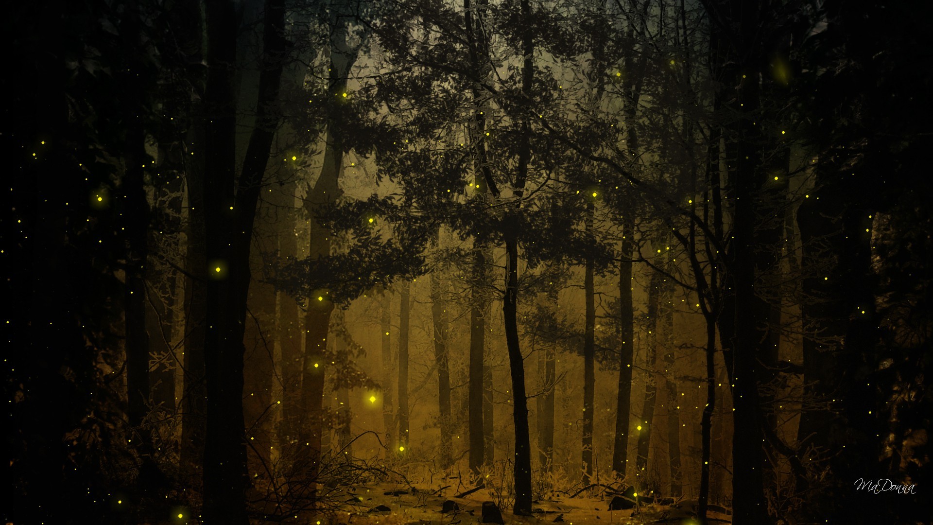 landscapes, Nature, Trees, Wood, Forests, Woods, Fireflies Wallpaper
