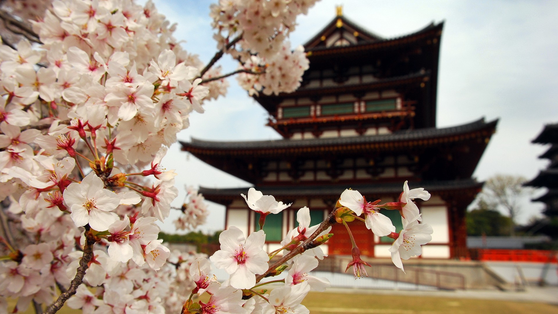 japan, Landscapes, Cityscapes, Japanese, Gardens, Temples, Japanese, Lantern Wallpaper