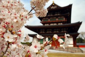 japan, Landscapes, Cityscapes, Japanese, Gardens, Temples, Japanese, Lantern
