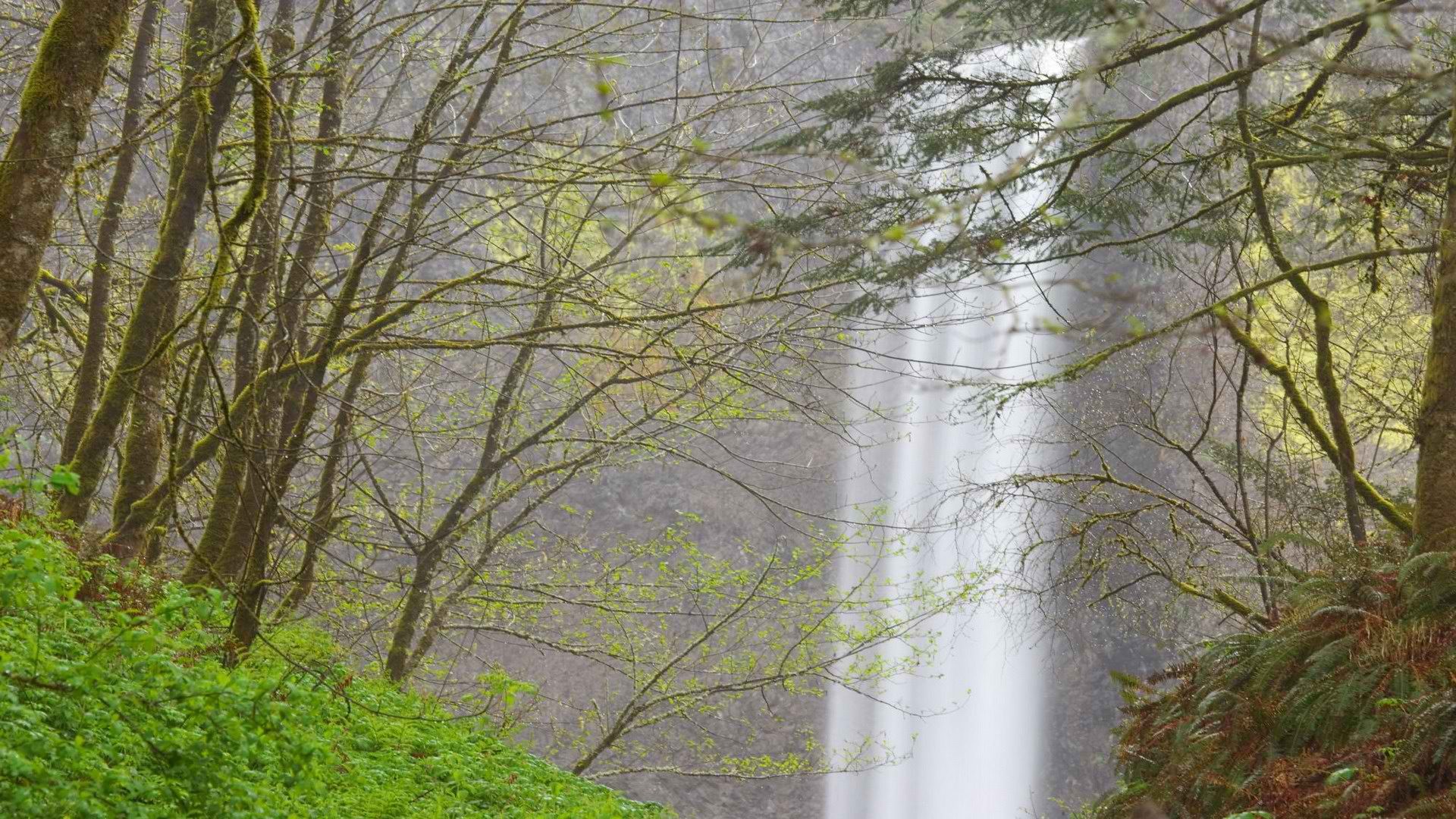 falls, Oregon, Rivers Wallpaper