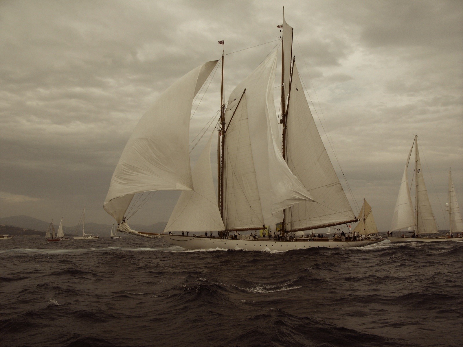 sailboats, Sea Wallpaper