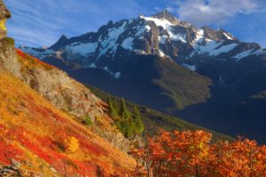 autumn, Yellow, Baker, Washington, Mount