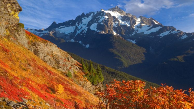 autumn, Yellow, Baker, Washington, Mount HD Wallpaper Desktop Background