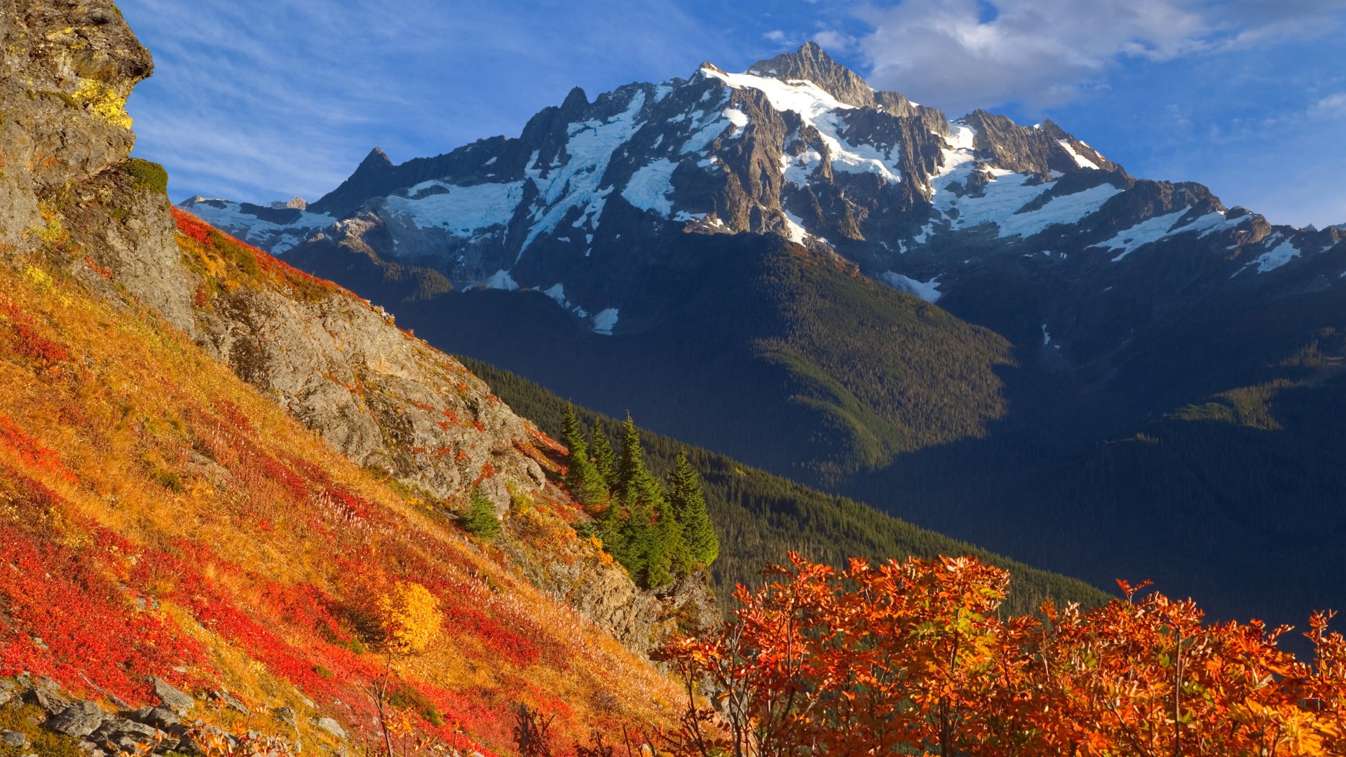 autumn, Yellow, Baker, Washington, Mount Wallpaper