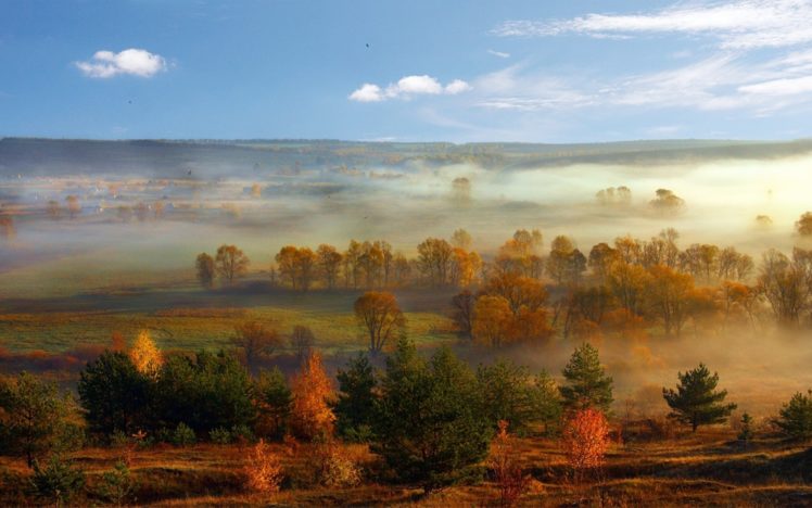 landscapes, Nature, Trees, Fog HD Wallpaper Desktop Background