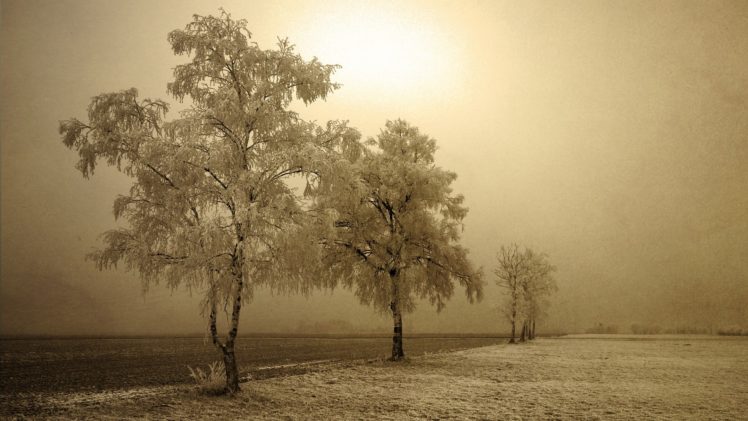landscapes, Winter, Trees HD Wallpaper Desktop Background