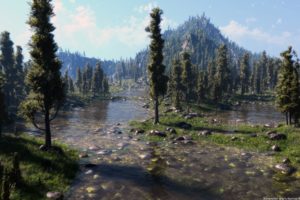landscapes, Forest, Rivers, Cypress
