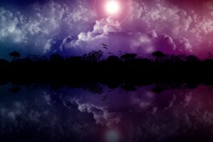 clouds, Landscapes, Trees, Stars, Birds, Falling, Down, Skyscapes, Reflections, Photo, Manipulation