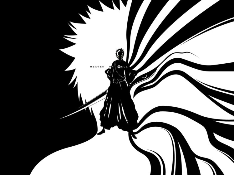 black, And, White, Bleach, Kurosaki, Ichigo, Hell, Heaven, Hollow, Ichigo HD Wallpaper Desktop Background