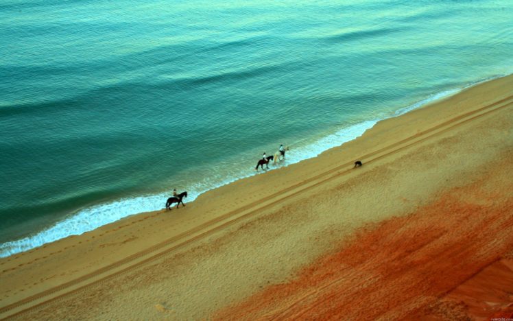 water, Landscapes, Beach, Sand, Animals, People, Horses HD Wallpaper Desktop Background