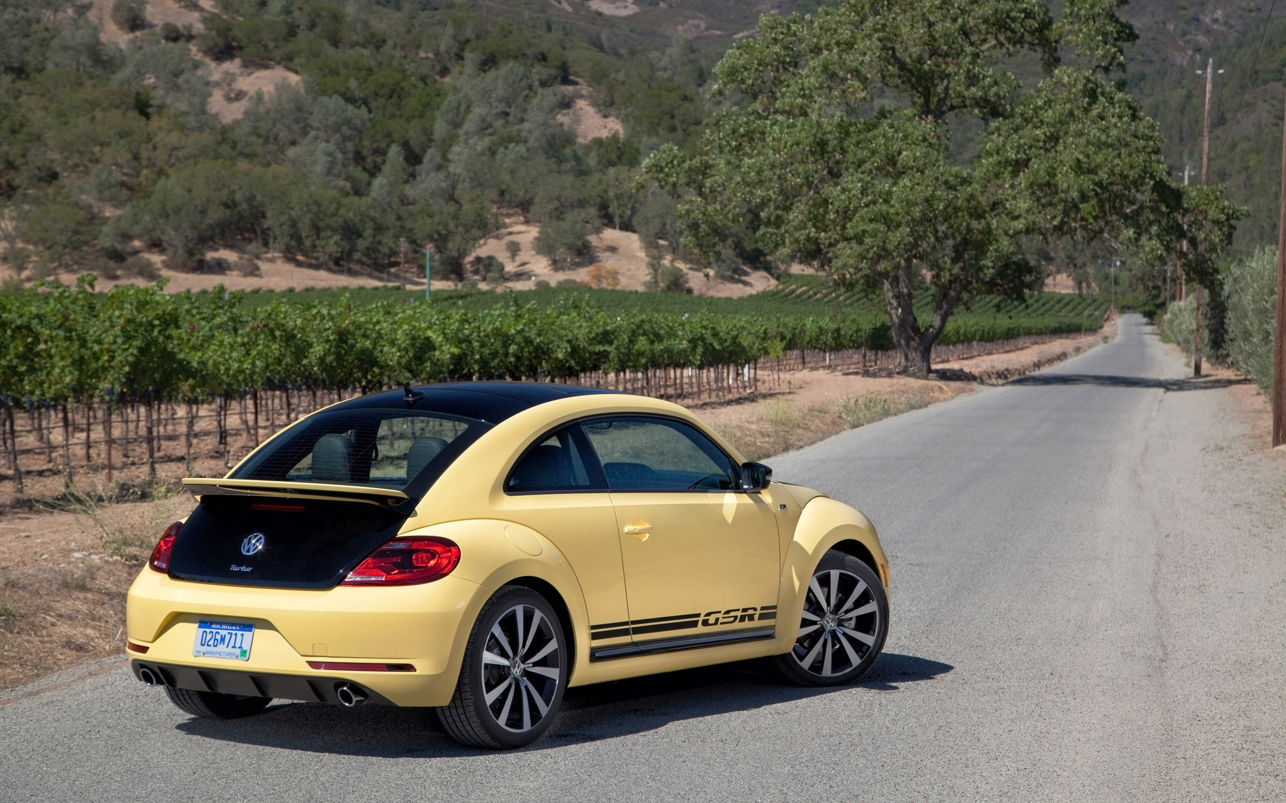 VW New Beetle 2014