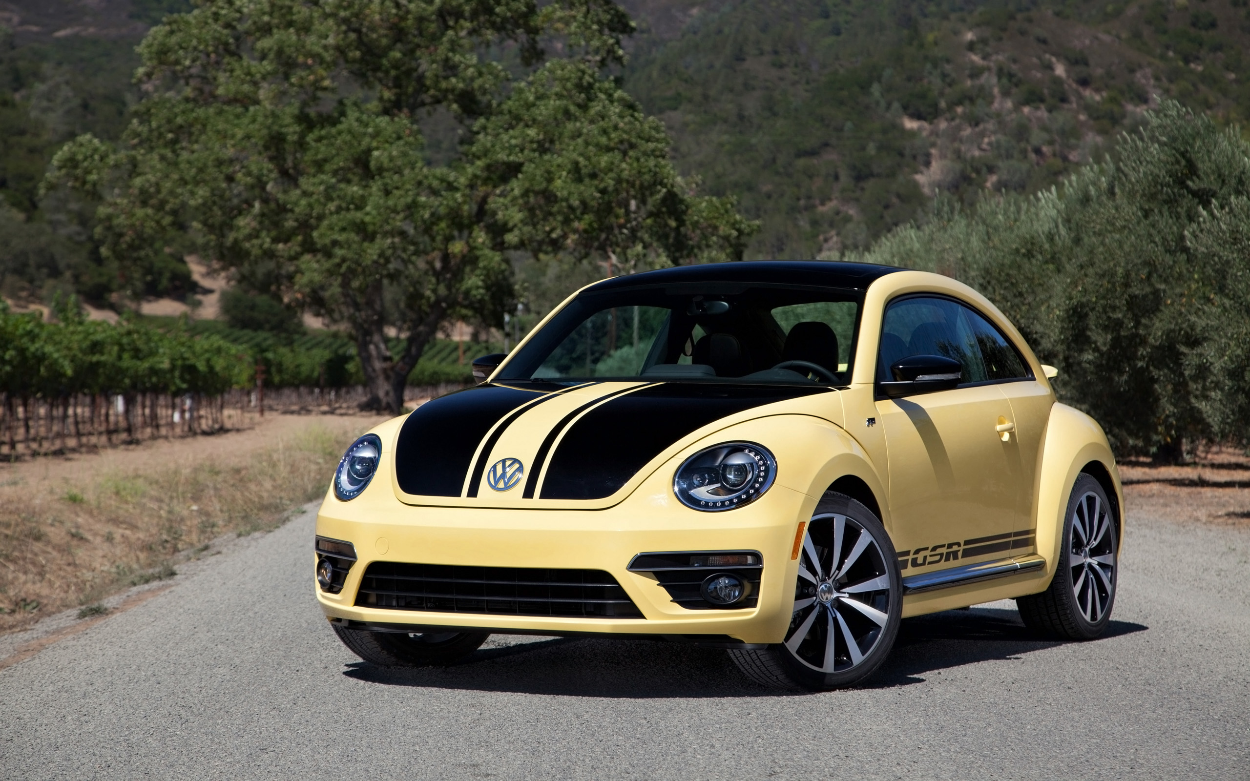 2014, Volkswagen, Beetle, Gsr Wallpaper