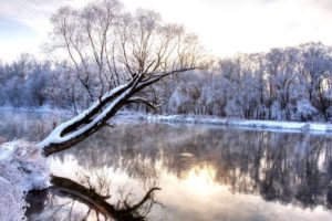 winter, River, With, A, Tree, Standing, Alone