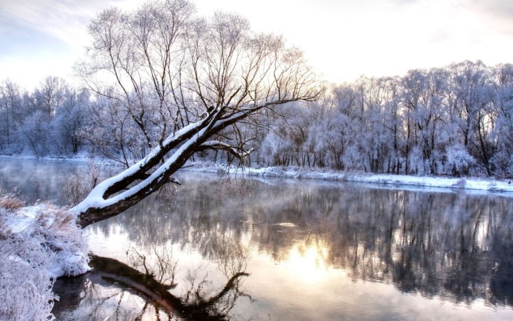 winter, River, With, A, Tree, Standing, Alone HD Wallpaper Desktop Background