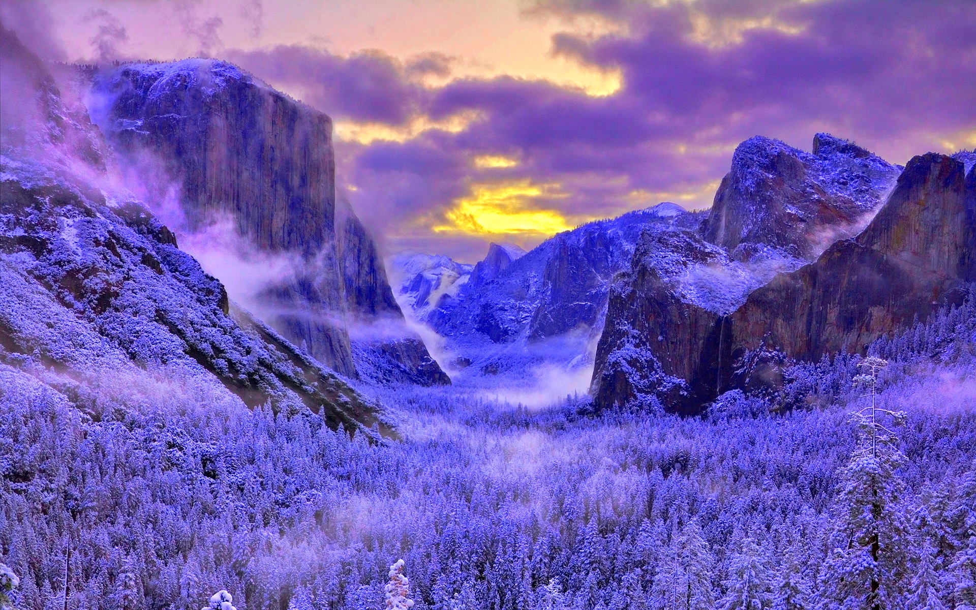 snow Wallpaper