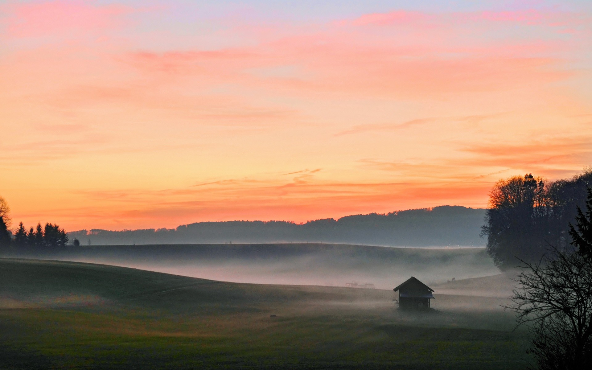 fields, Mist Wallpaper