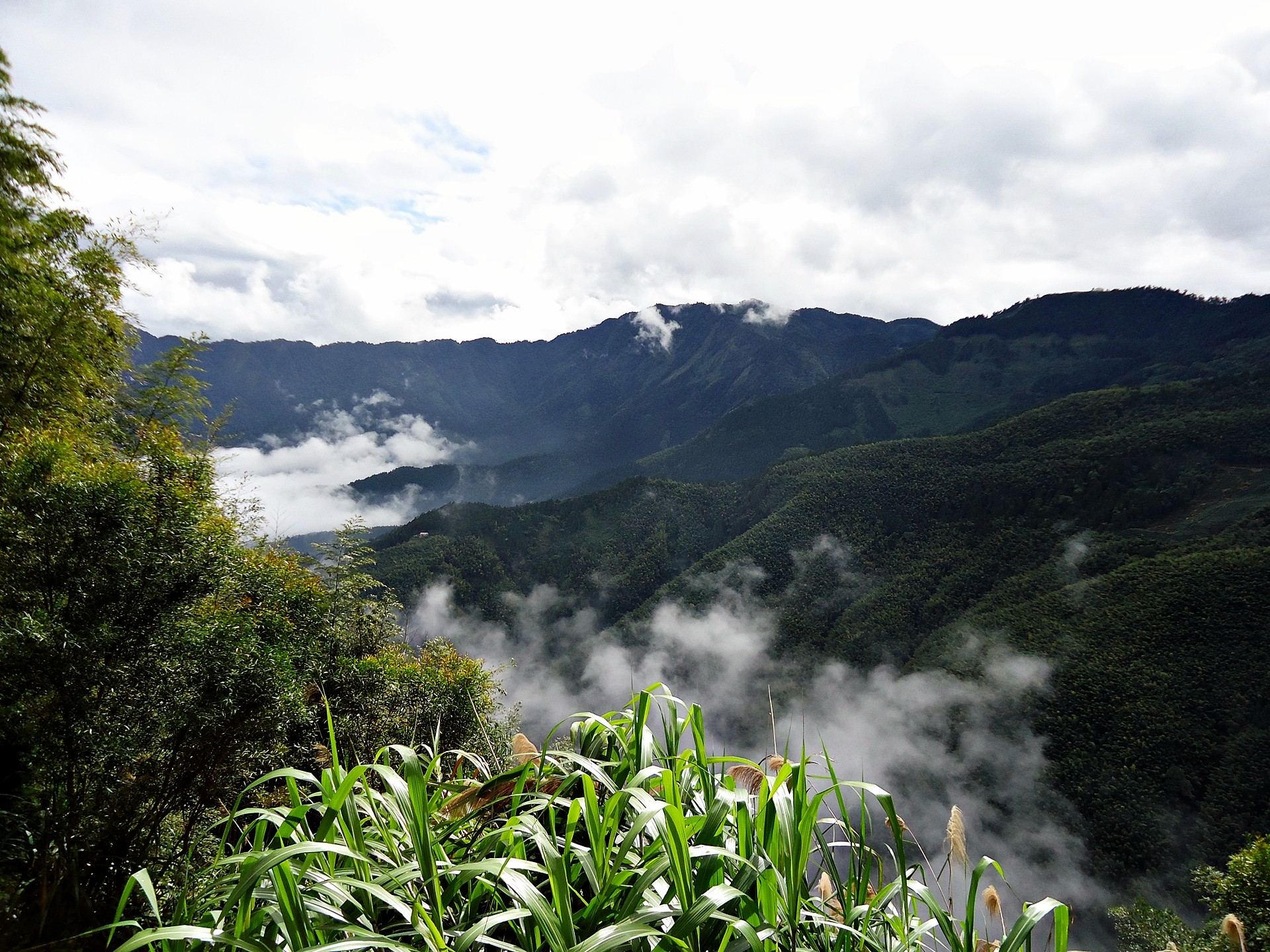 mountains, Clouds, Landscapes, Nature, Trees, Fog, Skies Wallpaper