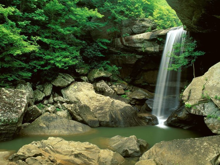 nature, Trees, Waterfalls HD Wallpaper Desktop Background