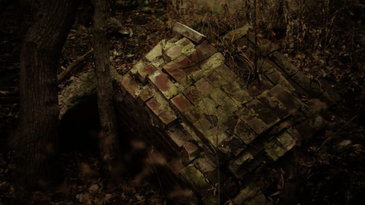 forests, Grunge, Bricks HD Wallpaper Desktop Background