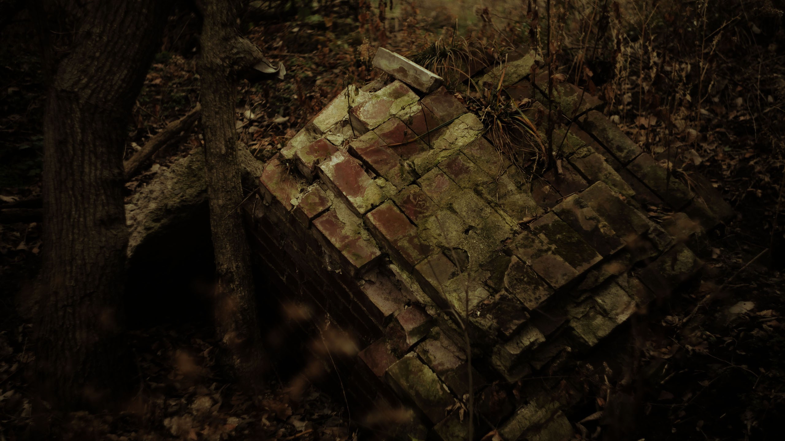 forests, Grunge, Bricks Wallpaper