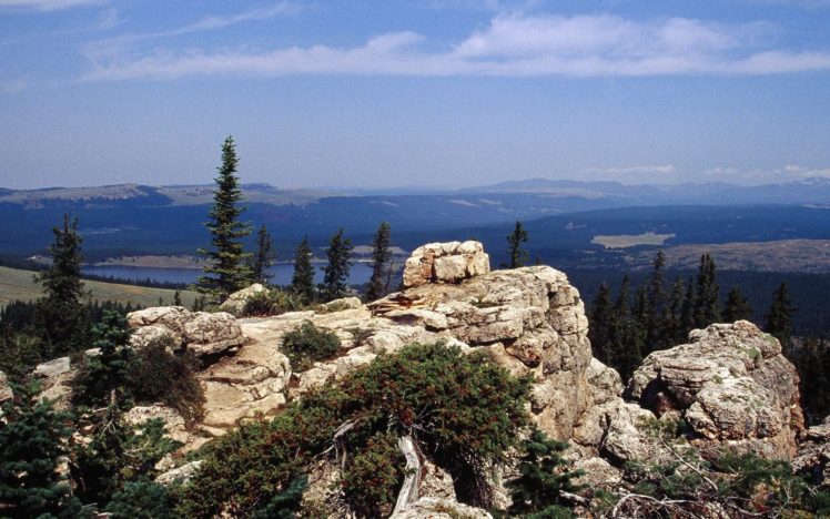 landscapes, Nature, Forests, National, Wyoming HD Wallpaper Desktop Background
