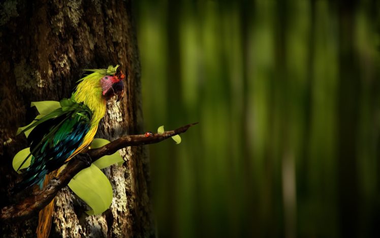 nature, Birds, Parrots HD Wallpaper Desktop Background