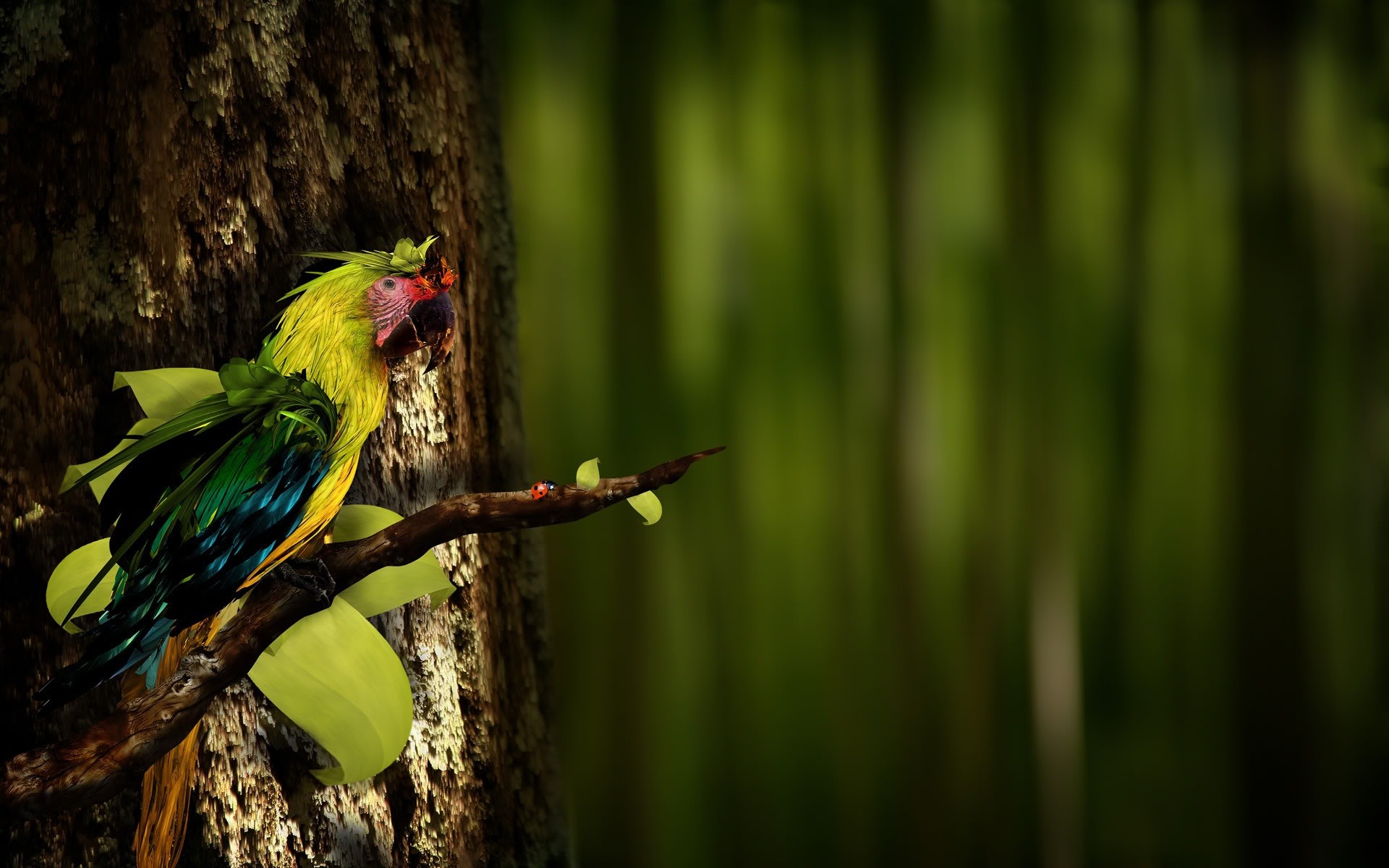 nature, Birds, Parrots Wallpaper
