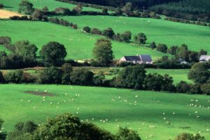fields, Ireland