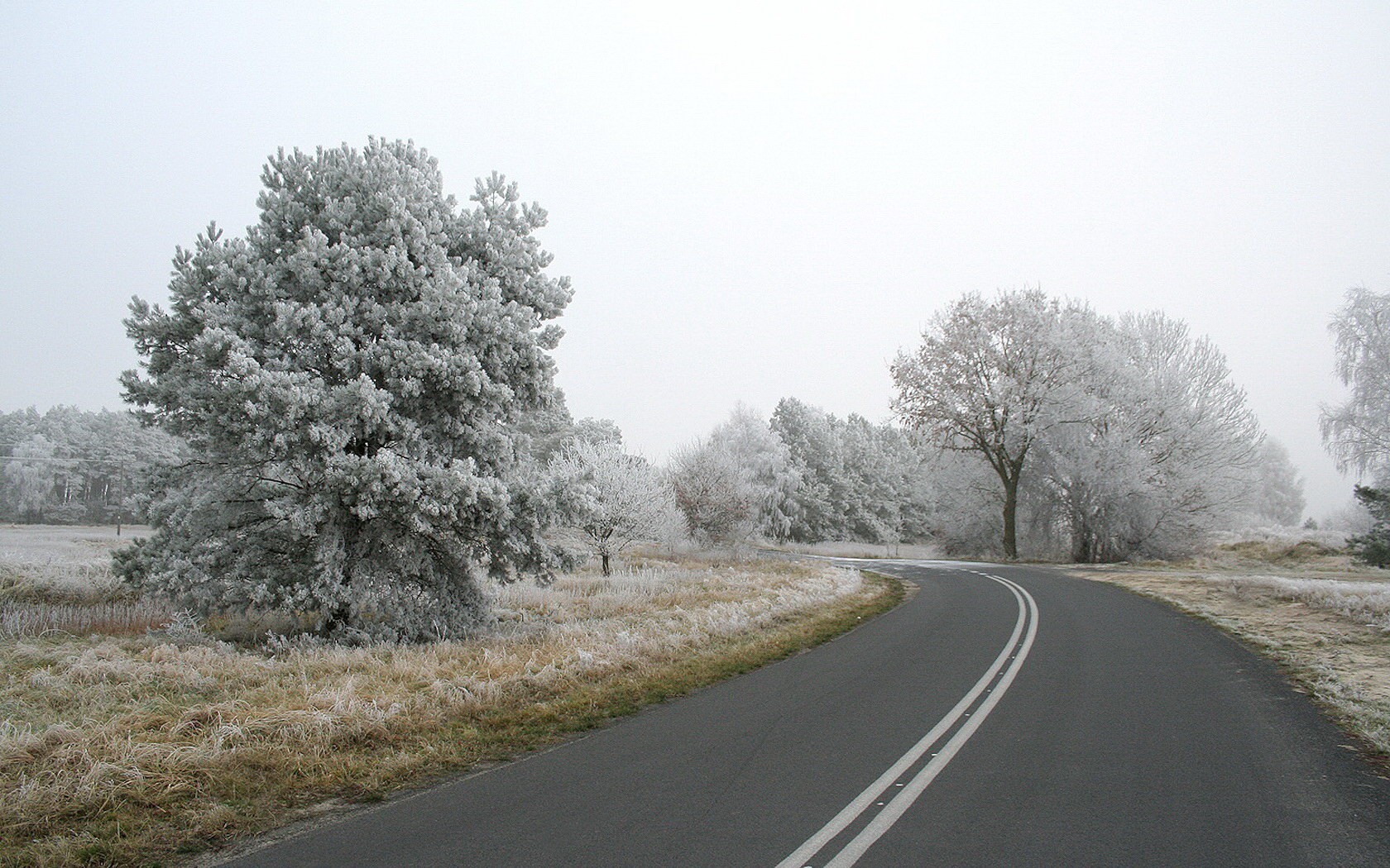 landscapes, Nature, Roads, Frost Wallpaper