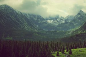 green, Mountains, Clouds, Landscapes, Nature, Trees, Pine, Trees, Photo, Filters, Tatra, Mountains, Tatry