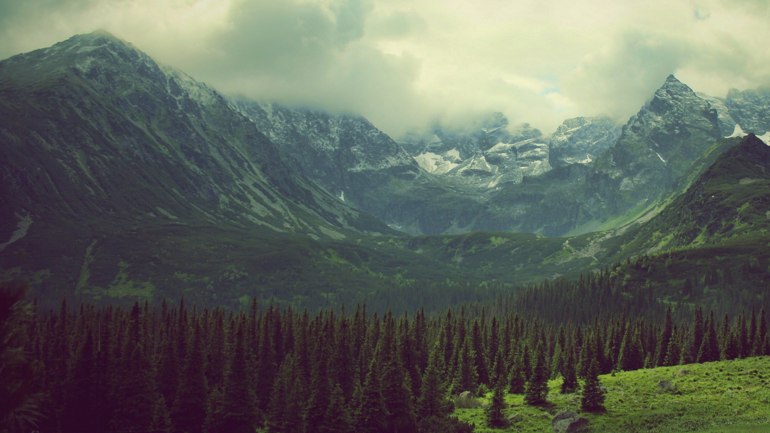 green, Mountains, Clouds, Landscapes, Nature, Trees, Pine, Trees, Photo, Filters, Tatra, Mountains, Tatry Wallpaper